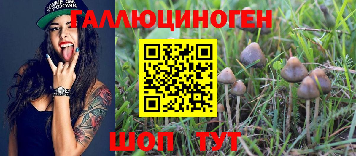 Волжский  Псилоцибиновые грибы MAGIC MUSHROOMS  Вход с VPN 